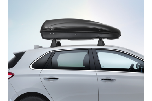 Hyundai sales roof box